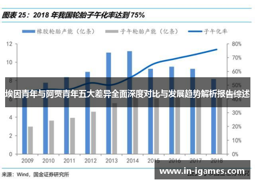埃因青年与阿贾青年五大差异全面深度对比与发展趋势解析报告综述
