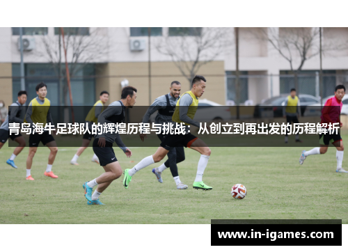 青岛海牛足球队的辉煌历程与挑战：从创立到再出发的历程解析