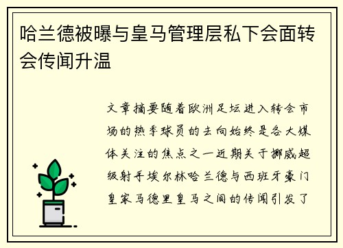 哈兰德被曝与皇马管理层私下会面转会传闻升温 哈兰德被曝与皇马管理层私下会面转会传闻升温